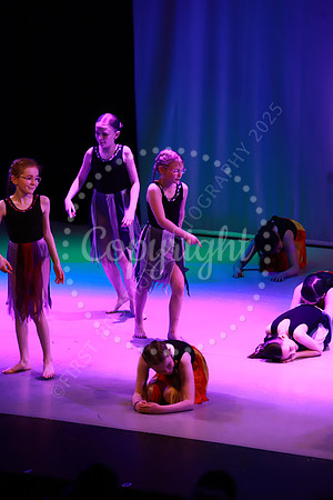 DSA_Live_25_0332