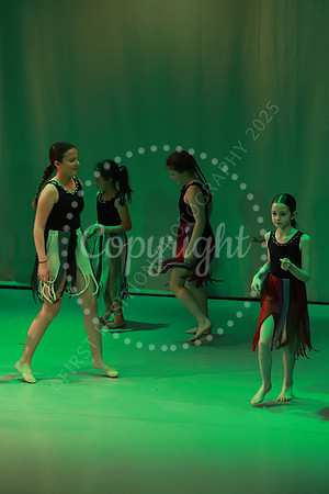 DSA_Live_25_0311