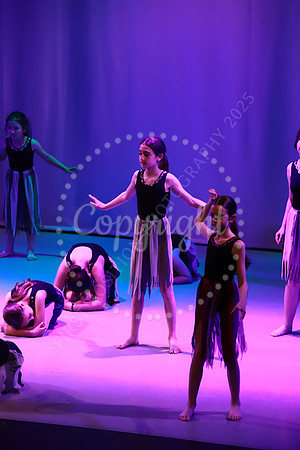 DSA_Live_25_0331