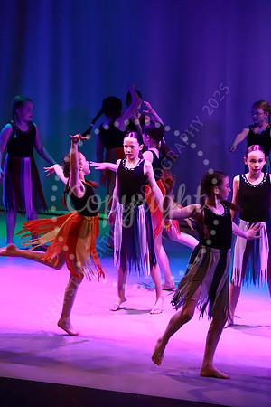DSA_Live_25_0344