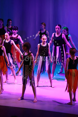 DSA_Live_25_0342