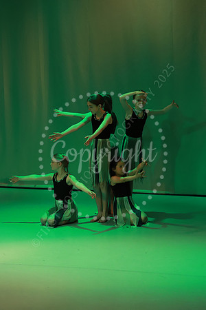 DSA_Live_25_0306