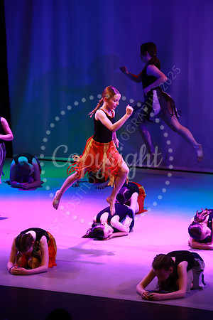 DSA_Live_25_0335